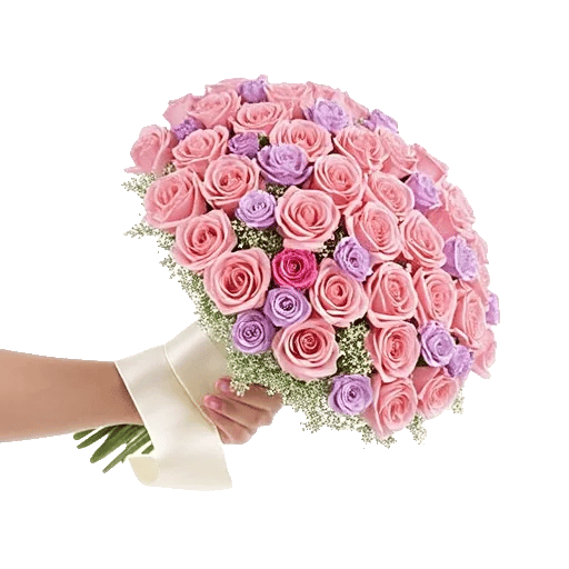 Blushing Rose Symphony