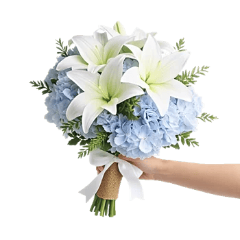 Serene Petal Harmony