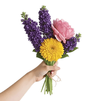 Petal Radiance Bliss
