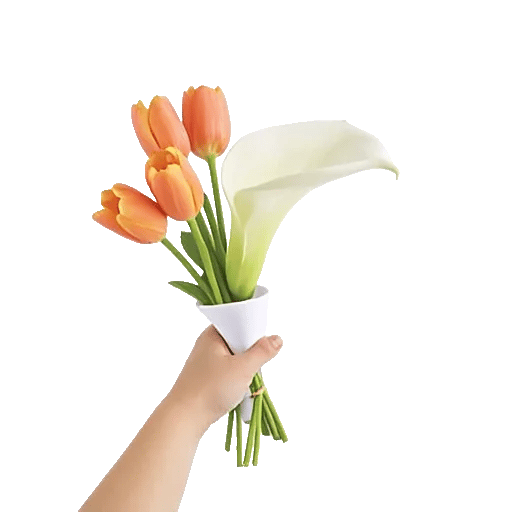 Elegant Calla Lilies