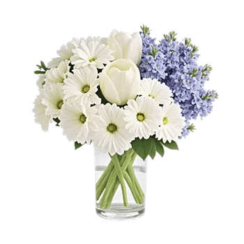 Ivory Blossom Radiance