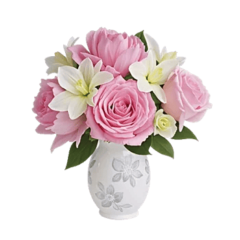 Pink Pastel Roses