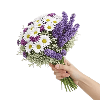 Delicate Petal Cascade