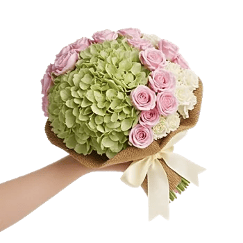 Serene Petal Harmony