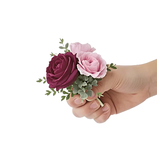 Plum Blossom Radiance