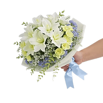 Dewy Morning Blossoms