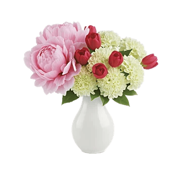 Ivory Blossom Radiance