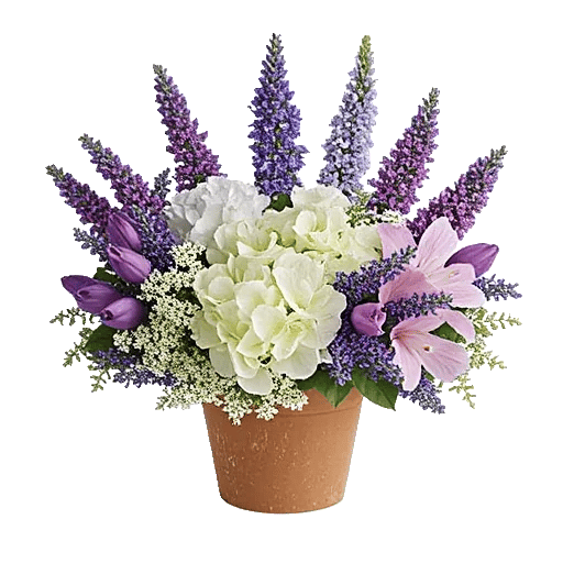 Lavender Bloom Grace