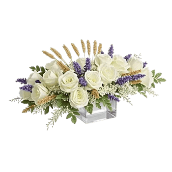 Delicate Petal Cascade