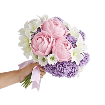 Peony Petal Harmony