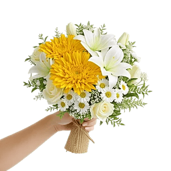 Blossom Harmony Display