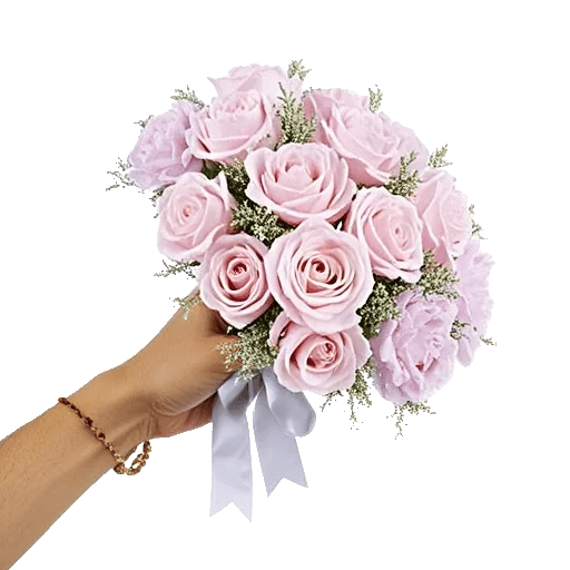 Pastel Pink Roses