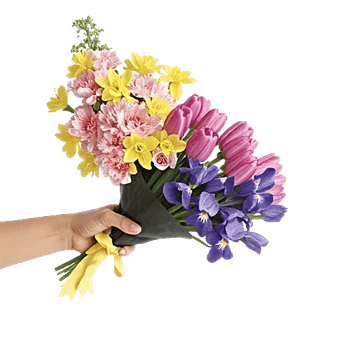 Blossom Petal Serenity