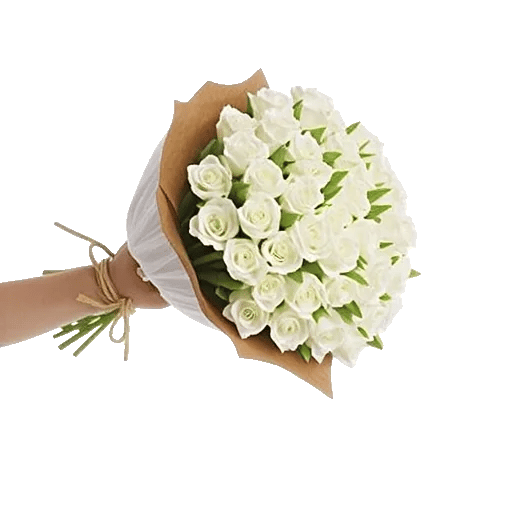 Ivory Blossom Radiance