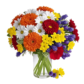 Petal Radiance Bliss