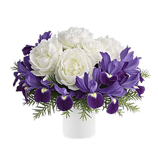 Ivory Blossom Radiance