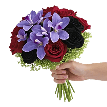Elegant Blue Roses