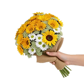 Daisy Meadow Spread