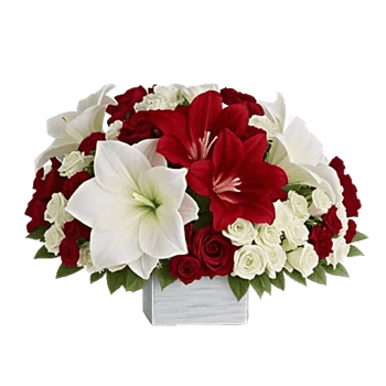 Crimson Blossom Harmony