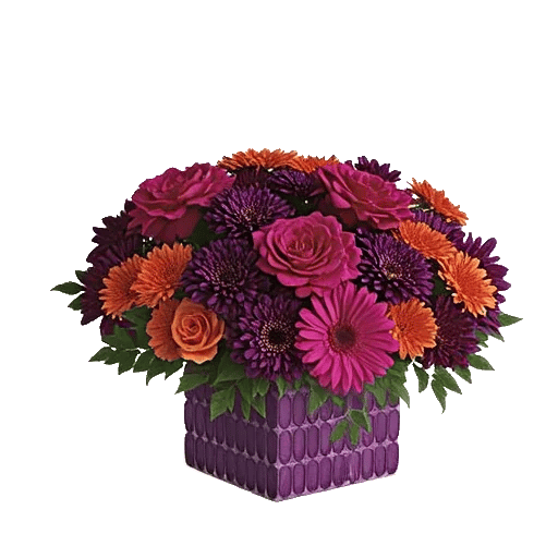 Petal Radiance Bliss