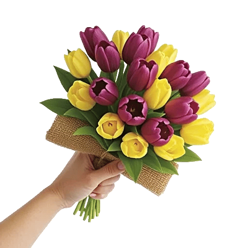 Velvet Tulip Display