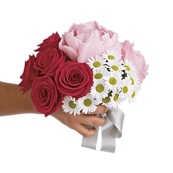 Crimson Rose Elegance