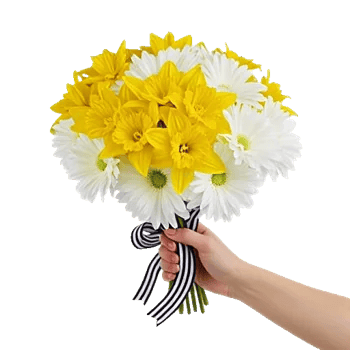 Blossom Harmony Display