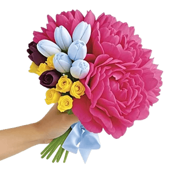 Pastel Blossom Grace