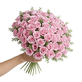 Pastel Pink Roses