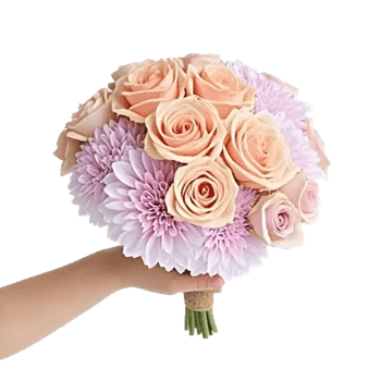 Pastel Pink Roses