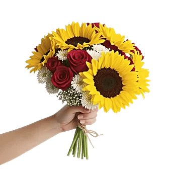 Twinkling Sunflower Dance