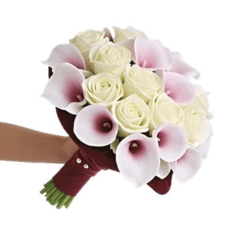 Elegant Calla Lilies