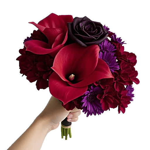 Elegant Calla Lilies