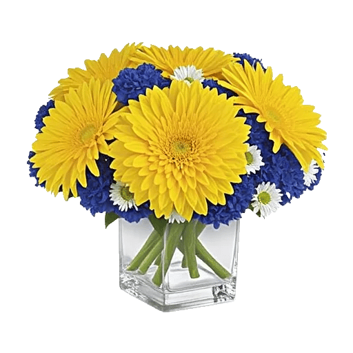 Radiant Bloom Cascade