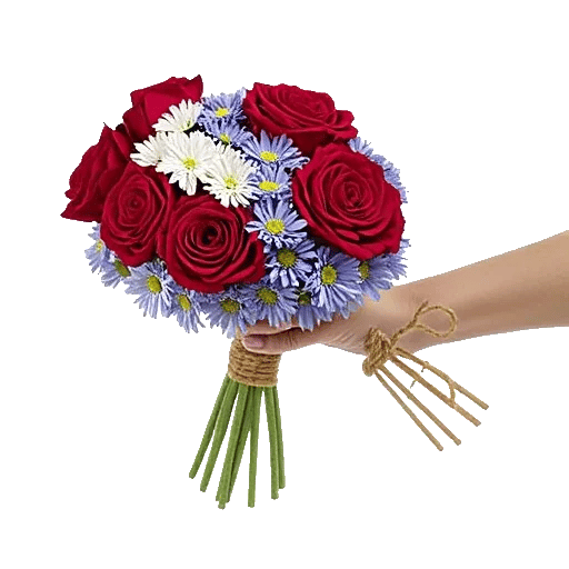 Crimson Rose Elegance