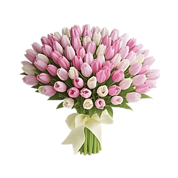 Velvet Tulip Display
