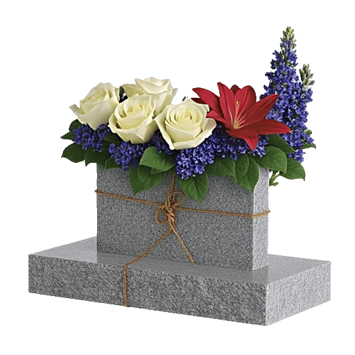 Ivory Blossom Radiance