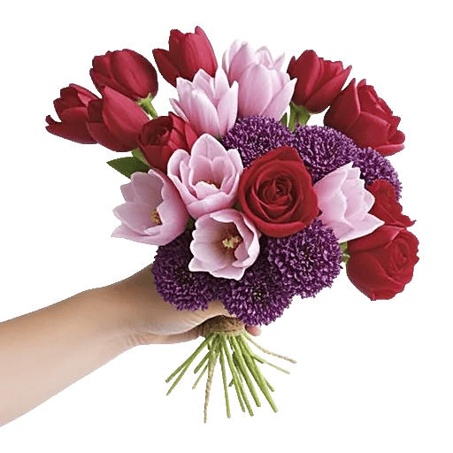 Scarlet Tulip Splendor