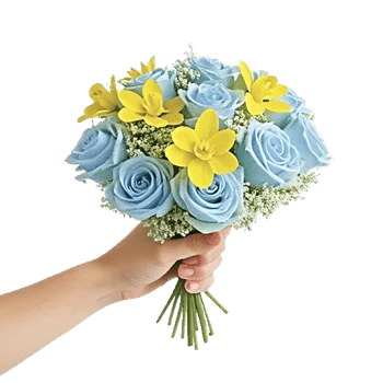 Serenity Orchid Bloom