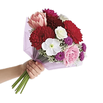 Delicate Petal Cascade