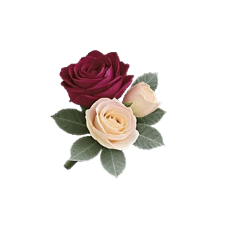 Delicate Petal Cascade