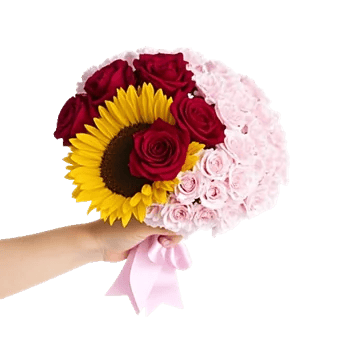 Radiant Rose Symphony