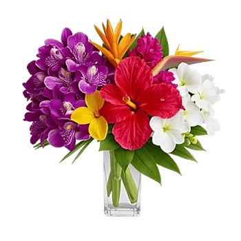 Orchid Bloom Cascade