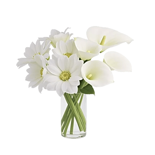 Graceful Lily Display