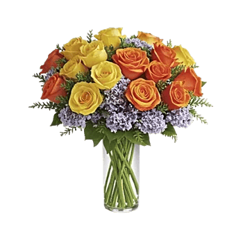 Ivory Blossom Radiance