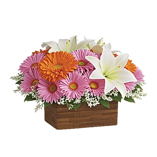 Vibrant Orange Delight