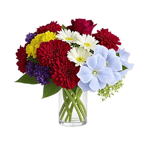 Petal Radiance Bliss