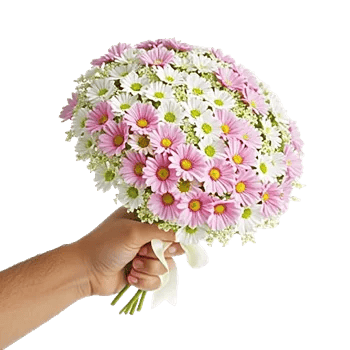 Ivory Blossom Radiance