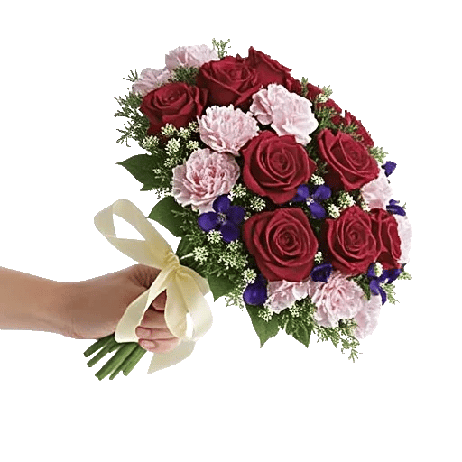 Crimson Rose Elegance