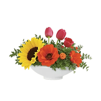 Amber Sunflower Glow